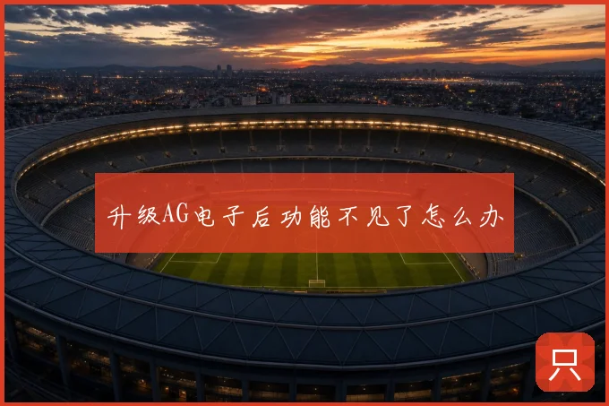 升级AG电子后功能不见了怎么办